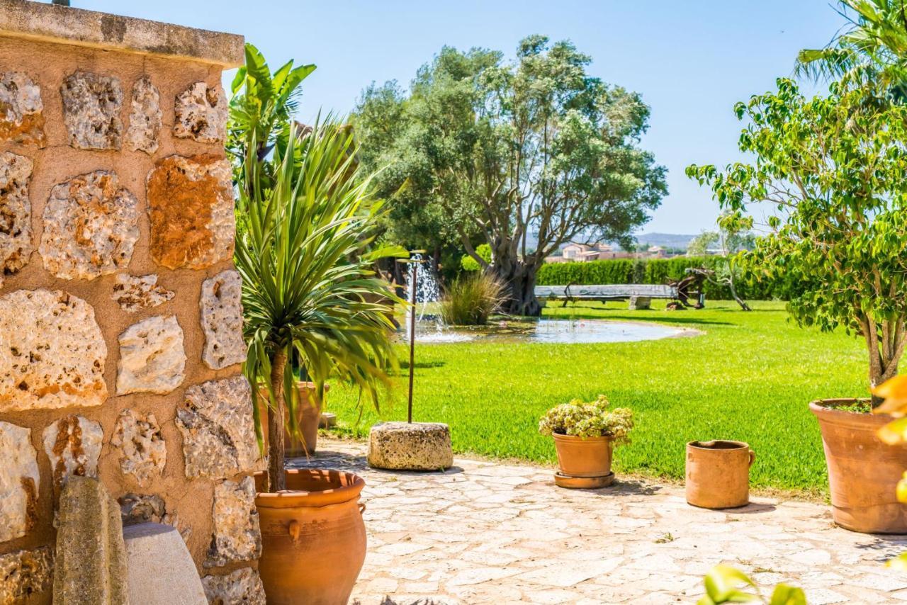 Ferienhaus Ideal Mallorca - Colis