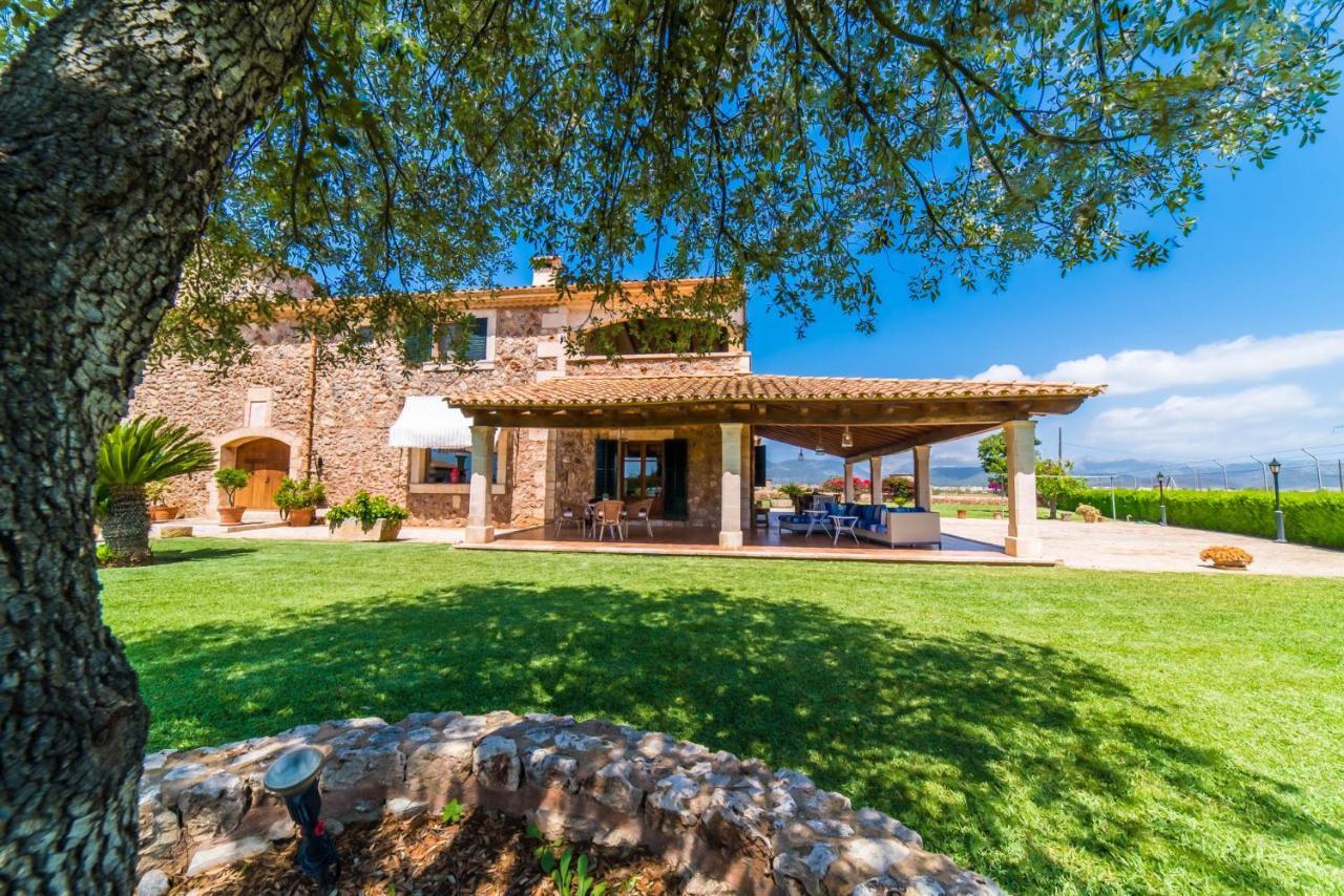 Ideal Mallorca - Colis Sa Pobla