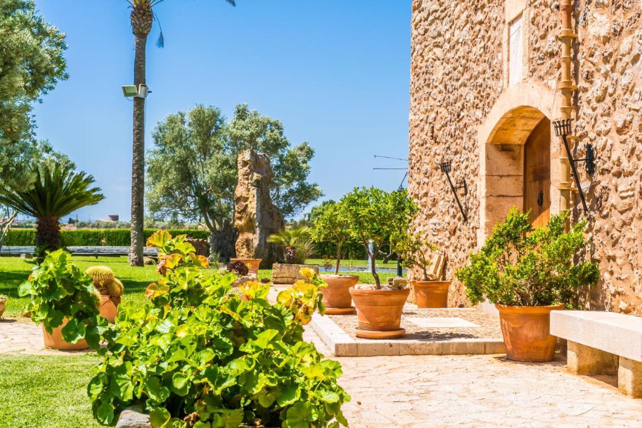 Ideal Mallorca - Colis